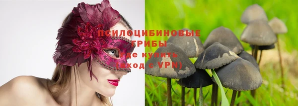 метамфетамин Алексин