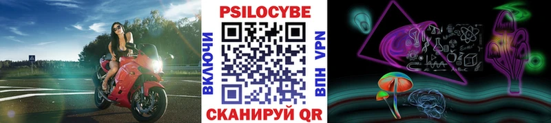купить закладку  Старая Купавна  Галлюциногенные грибы MAGIC MUSHROOMS 